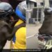 Dog Ride On Bike With Helmet Heart Winning Video Goes Viral On Social Media