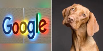 Google Asked What Dog Would Search Google | Google Wants To Know What Dogs Would Use Internet For