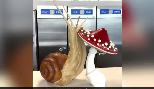 Chef Amaury Guichon Made Giant Snails And Mushrooms Out Of Chocolate Stunned The Minds Of Chocolate Lovers – शेफ ने चॉकलेट से बनाया जॉइंट स्नेल और मशरूम, कलाकारी देख आप भी कहेंगे