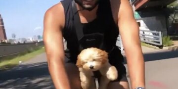 This Cute Dog Is Floating Or Cycling In The Air, Beautiful VIDEO Will Win Your Heart