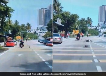 Viral Video: Coconut Fell On The Head Of A Woman Riding A Bike, Lost Her Balance And Fell On The Road