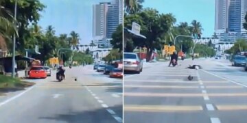 Viral Video: Coconut Fell On The Head Of A Woman Riding A Bike, Lost Her Balance And Fell On The Road