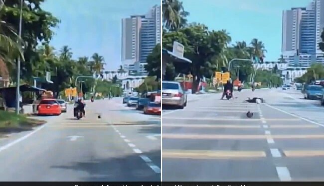 Viral Video: Coconut Fell On The Head Of A Woman Riding A Bike, Lost Her Balance And Fell On The Road