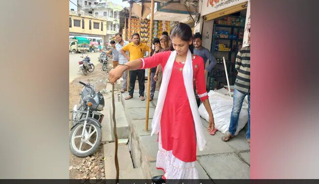 Woman Caught Snake With Bare Hands Photo Goes Viral