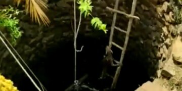 Leopard Dramatically Rescued From Well In Odisha By Using This Technique See Video – कुएं में गिर गया था तेंदुआ, रेस्क्यू के दौरान अपनाई गई ऐसी तकनीक, सीढ़ियों से चढ़कर खुद ही आया बाहर