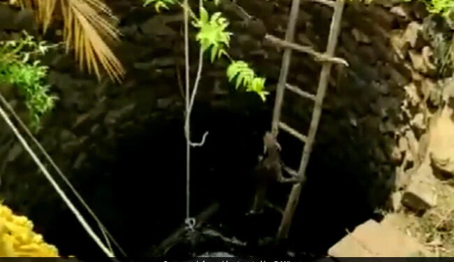 Leopard Dramatically Rescued From Well In Odisha By Using This Technique See Video – कुएं में गिर गया था तेंदुआ, रेस्क्यू के दौरान अपनाई गई ऐसी तकनीक, सीढ़ियों से चढ़कर खुद ही आया बाहर
