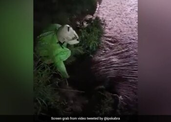 When The Rain Water Filled The Road, The Traffic Officer Did Such A Thing That Everyone Praised, Watch- Video – जब सड़क पर बारिश का पानी भरा तो ट्रैफिक अफसर ने किया ऐसा काम कि सबने की तारीफ, देखें