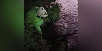 When The Rain Water Filled The Road, The Traffic Officer Did Such A Thing That Everyone Praised, Watch- Video – जब सड़क पर बारिश का पानी भरा तो ट्रैफिक अफसर ने किया ऐसा काम कि सबने की तारीफ, देखें
