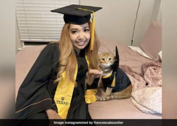 Cat Graduated From US University Of Texas After Attending Every Class On Zoom With Its Owner