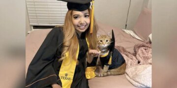 Cat Graduated From US University Of Texas After Attending Every Class On Zoom With Its Owner