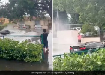 Seeing The Car Moving In The Flood Water People Started Making VIDEO