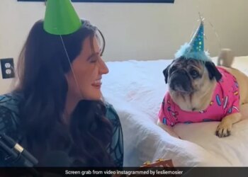 Woman Wrote Birthday Song For Her Cute Pet Doggy Sings It To Him Watch Adorable Video