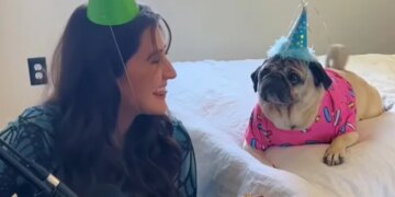 Woman Wrote Birthday Song For Her Cute Pet Doggy Sings It To Him Watch Adorable Video