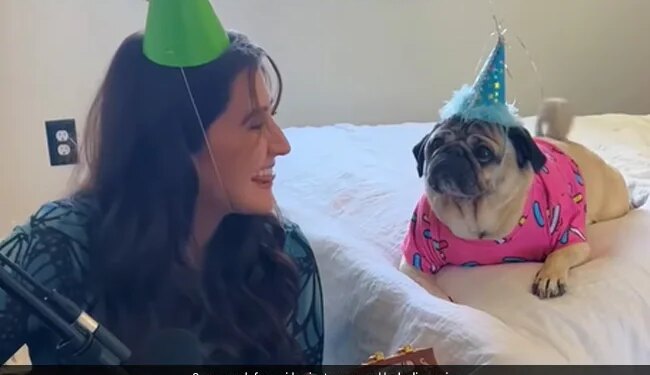 Woman Wrote Birthday Song For Her Cute Pet Doggy Sings It To Him Watch Adorable Video