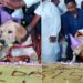 Karnataka Man Celebrates Pet Dog Birthday With 100Kg Cake And 4000 Guests