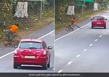 The Man Was Going Comfortably On The Road, When The Leopard Suddenly Attacked, See The Shocking Video