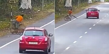 The Man Was Going Comfortably On The Road, When The Leopard Suddenly Attacked, See The Shocking Video