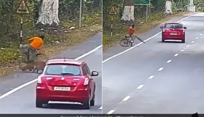 The Man Was Going Comfortably On The Road, When The Leopard Suddenly Attacked, See The Shocking Video