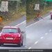 The Man Was Going Comfortably On The Road, When The Leopard Suddenly Attacked, See The Shocking Video