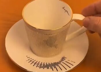 Simple Cup Plate Video Goes Viral On Social Media Watch Over 3 Million Users