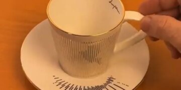 Simple Cup Plate Video Goes Viral On Social Media Watch Over 3 Million Users