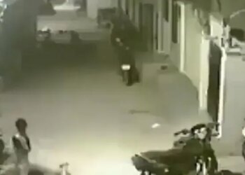 Viral Video: When You Are Surrounded By Troubles From All Around, Then Do This Work, A Small Child Is Teaching – बहन को बचाने के लिए कुत्ते से भिड़ गया ये बच्चा, लोग कह रहे हैं