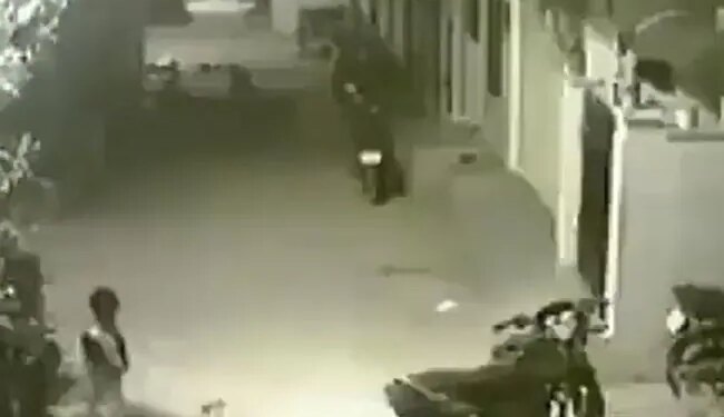 Viral Video: When You Are Surrounded By Troubles From All Around, Then Do This Work, A Small Child Is Teaching – बहन को बचाने के लिए कुत्ते से भिड़ गया ये बच्चा, लोग कह रहे हैं