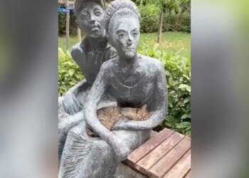 मूर्ति को इंसान समझकर गोद में लेट गई बिल्ली, 37 लाख लोगों को पसंद आया ये वीडियो