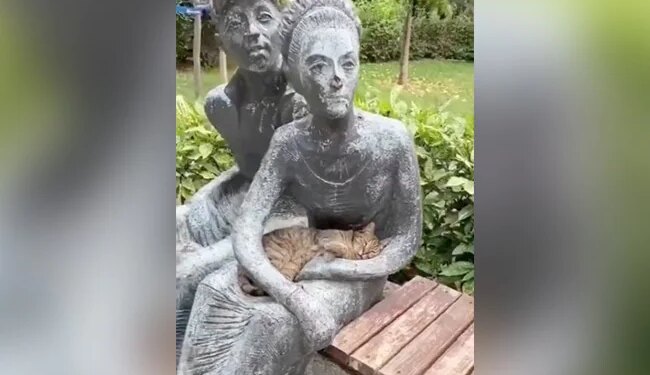 मूर्ति को इंसान समझकर गोद में लेट गई बिल्ली, 37 लाख लोगों को पसंद आया ये वीडियो