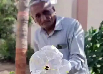 Anand Mahindra Shared A Video Of Jugaad, With The Help Of This Fruit Can Be Easily Plucked