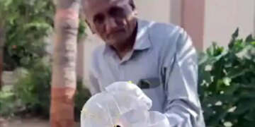 Anand Mahindra Shared A Video Of Jugaad, With The Help Of This Fruit Can Be Easily Plucked