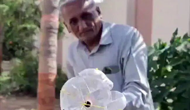 Anand Mahindra Shared A Video Of Jugaad, With The Help Of This Fruit Can Be Easily Plucked