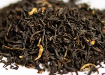 OMG! असम में इस ख़ास चाय की कीमत एक लाख रुपए प्रति किलो है, लोग हैरान हो रहे हैं