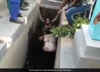 Women Fight For Property Dispute In Rajasthan Women Fight Video Devrani Jethani Fight Video Viral Video Will Shocked Everyone – प्रॉपर्टी विवाद को लेकर महिलाओं में हुआ झगड़ा, लड़ते-लड़ते नाले में गिरीं, फिर भी नहीं रुकी मारपीट