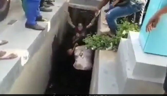 Women Fight For Property Dispute In Rajasthan Women Fight Video Devrani Jethani Fight Video Viral Video Will Shocked Everyone – प्रॉपर्टी विवाद को लेकर महिलाओं में हुआ झगड़ा, लड़ते-लड़ते नाले में गिरीं, फिर भी नहीं रुकी मारपीट