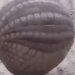 Shocking Video Of Armadillo Making Itself A Ball, Know More Details On This Video