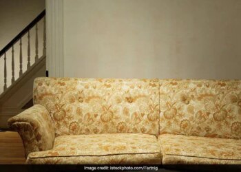 California Woman Finds 36000 Dollar Stuffed In Cushions Of Free Sofa | Women Found Lots Of Money Inside Sofa That She Got For Free