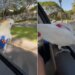 White Parrot Enjoying In Hrithik Roshans Style Sits On The Car Window | Parrot Enjoys Car Ride Sitting On The Open Car Window