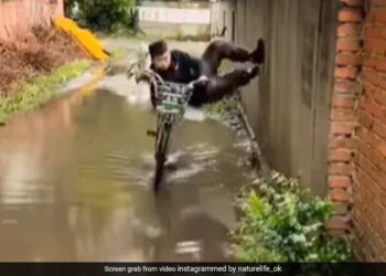 Man Did A Stunt To Save Shoes From Getting Wet On Road Internet Says Ninja – सड़क पर भरे पानी में जूतों को भीगने से बचाने के लिए शख्स ने किया स्टंट, लोग बोले