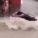 When There Was A Flood On The Road, This Boy Jumped And Had Fun, People Said – There Is Opportunity In Disaster – सड़क पर बाढ़ आ गई तो इस लड़के ने कूद-कूद कर मज़े किए, लोगों ने कहा