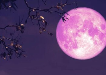 Strawberry Moon Seen In The Night Sky On June 14 | Strawberry Moon Seen On 14th June Tuesday Poornima See These Stunning Pic