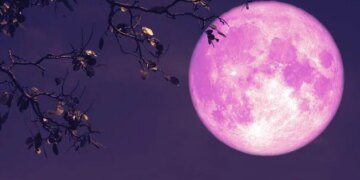 Strawberry Moon Seen In The Night Sky On June 14 | Strawberry Moon Seen On 14th June Tuesday Poornima See These Stunning Pic