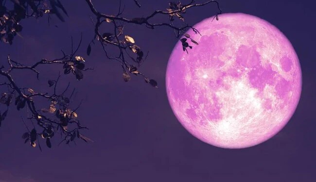Strawberry Moon Seen In The Night Sky On June 14 | Strawberry Moon Seen On 14th June Tuesday Poornima See These Stunning Pic