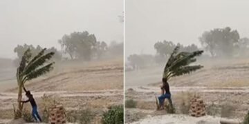 Video Of A Young Man Standing To Save The Tree From Uprooting In The Storm Went Viral On Social Media
