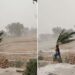 Video Of A Young Man Standing To Save The Tree From Uprooting In The Storm Went Viral On Social Media