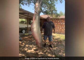 American Fisherman Caught A Giant Crocodile Shaped Like A Fish | A Fisherman Caught A Giant Crocodile With An Arrow Bow
