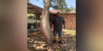 American Fisherman Caught A Giant Crocodile Shaped Like A Fish | A Fisherman Caught A Giant Crocodile With An Arrow Bow