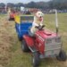 This Dog Drives A Tractor, Wants To Become A Farmer, Videos Are Going Viral On Social Media