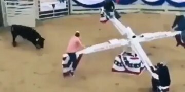 These Four Friends Continued To Enjoy The Swing By Dodging The Dreaded Bull, See This Heart-wrenching VIDEO