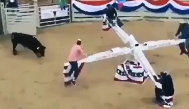 These Four Friends Continued To Enjoy The Swing By Dodging The Dreaded Bull, See This Heart-wrenching VIDEO